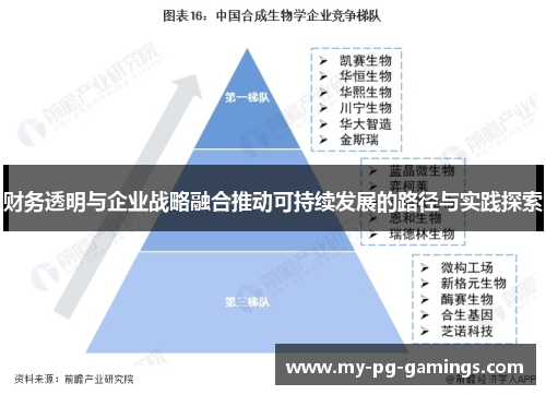 财务透明与企业战略融合推动可持续发展的路径与实践探索