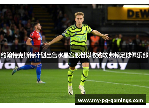 约翰特克斯特计划出售水晶宫股份以收购埃弗顿足球俱乐部