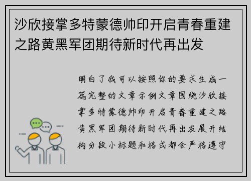 沙欣接掌多特蒙德帅印开启青春重建之路黄黑军团期待新时代再出发
